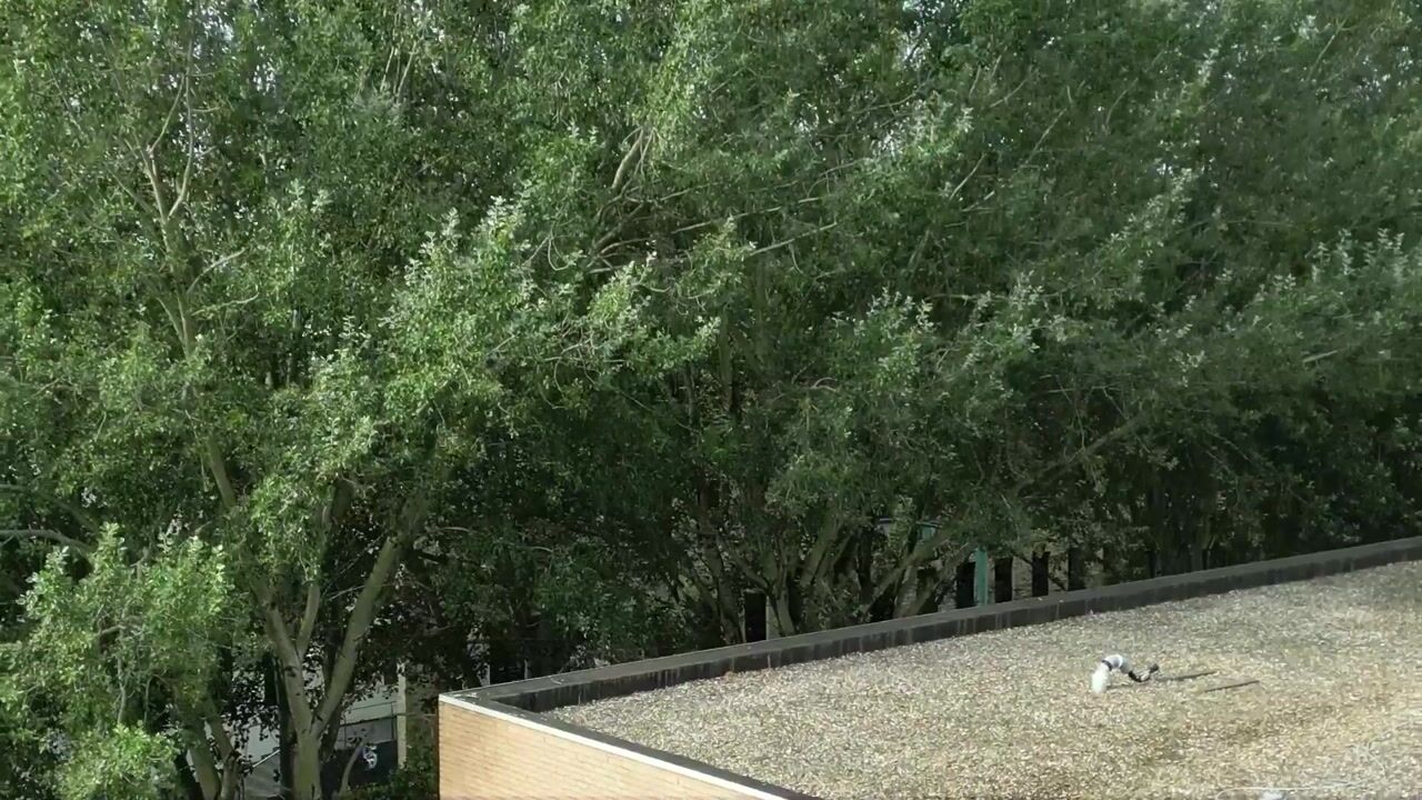 View video of Roof Garden (Bouwnr. B.10.02)