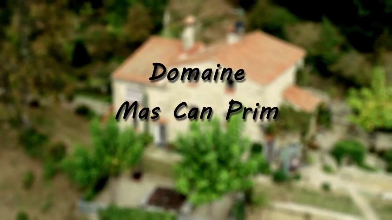 Video van La Forge del Mitg 66260