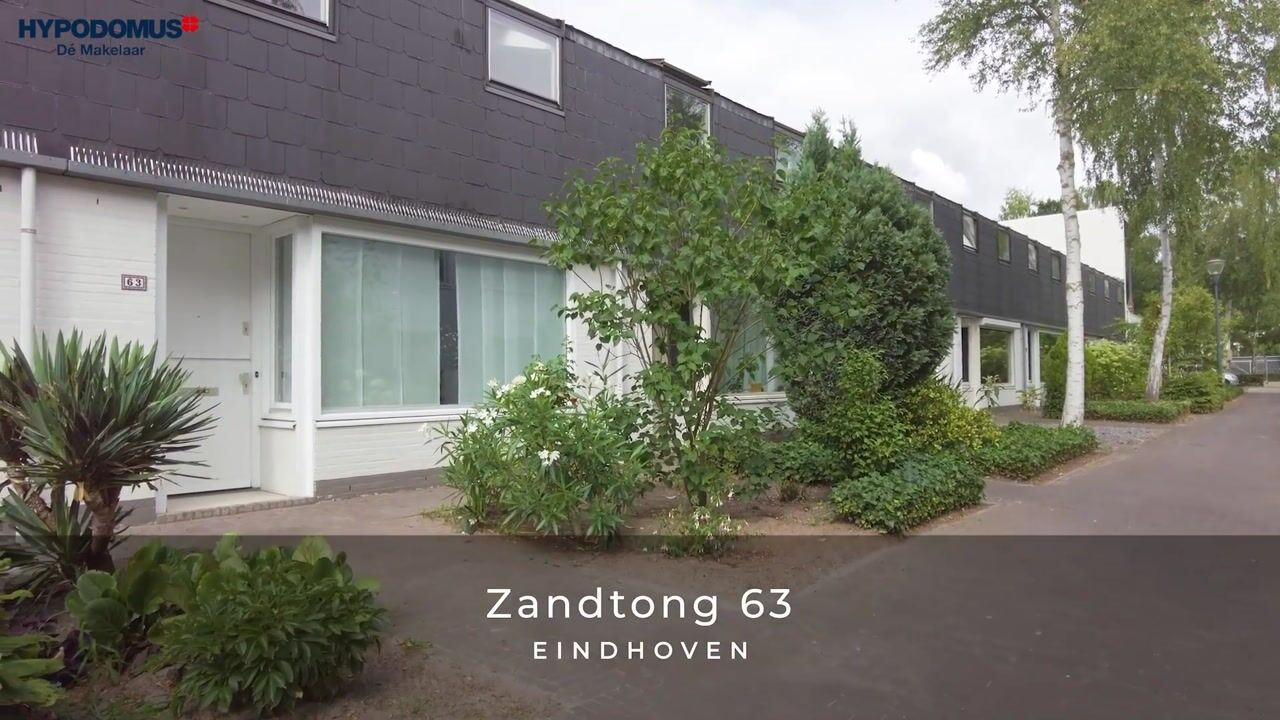 Video van Zandtong 63
