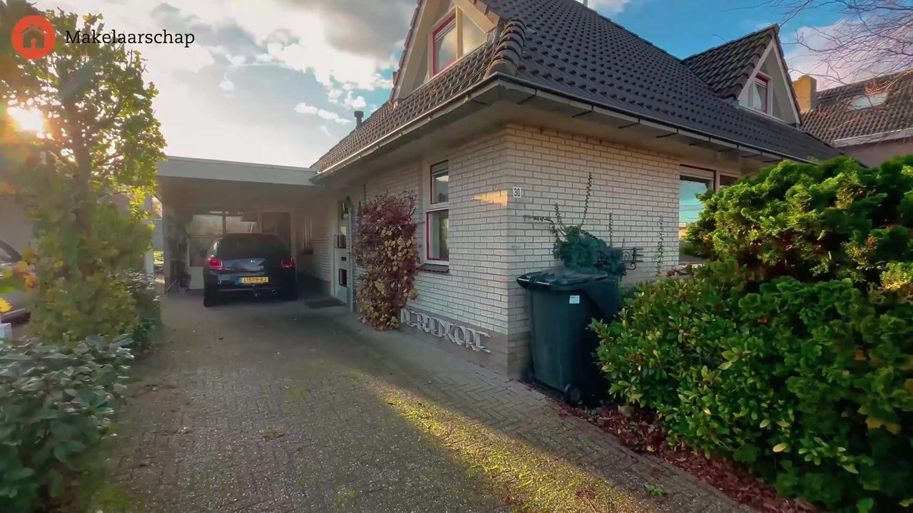 Video van Korenbloem 30