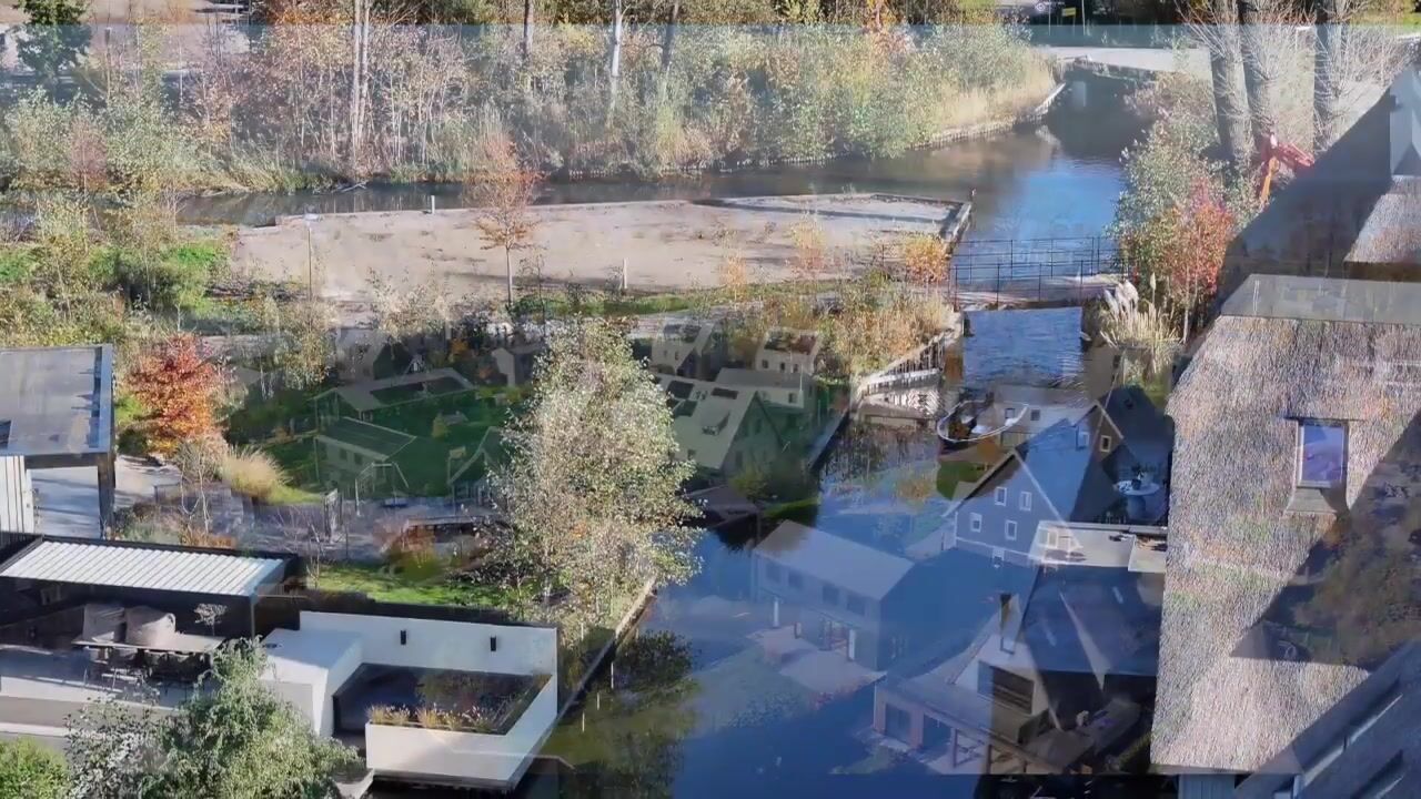 Video van Holenduif 6