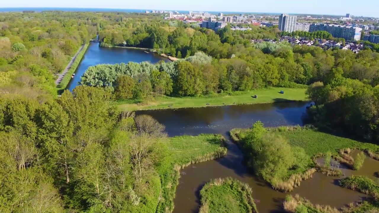 Video van Thomas Mannsingel 16-E