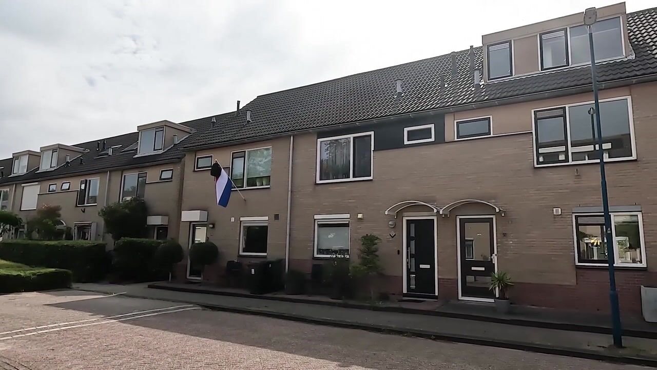 Video van Bladgroen 50