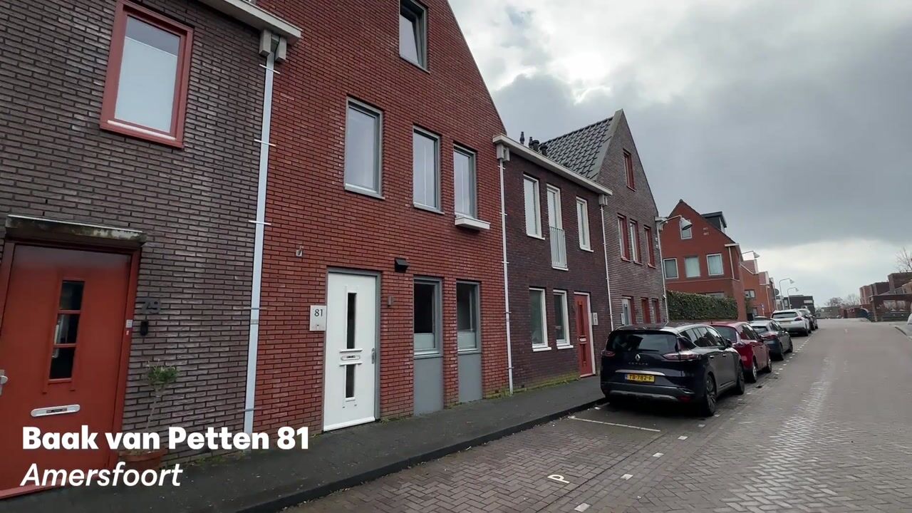 Video of Baak van Petten 81