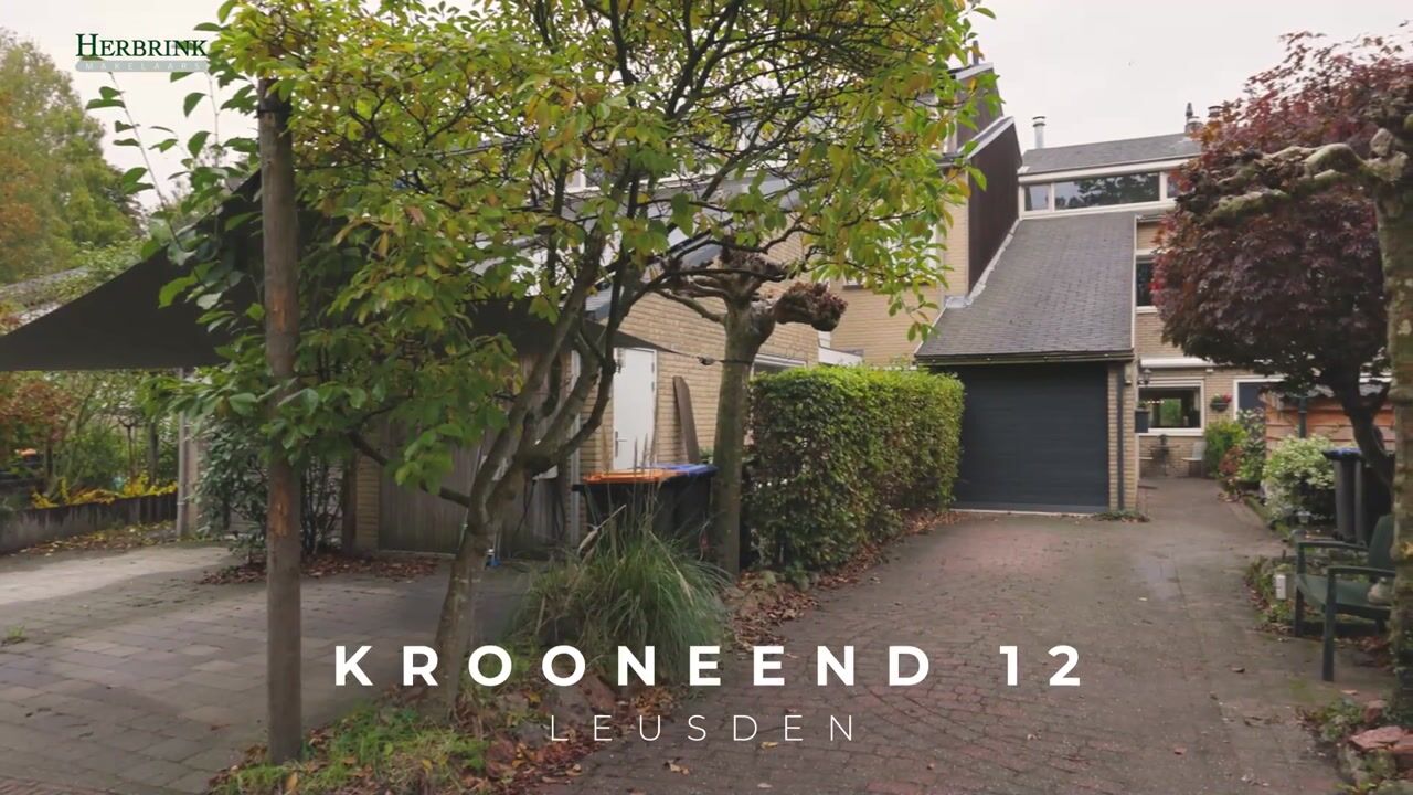 Video van Krooneend 12