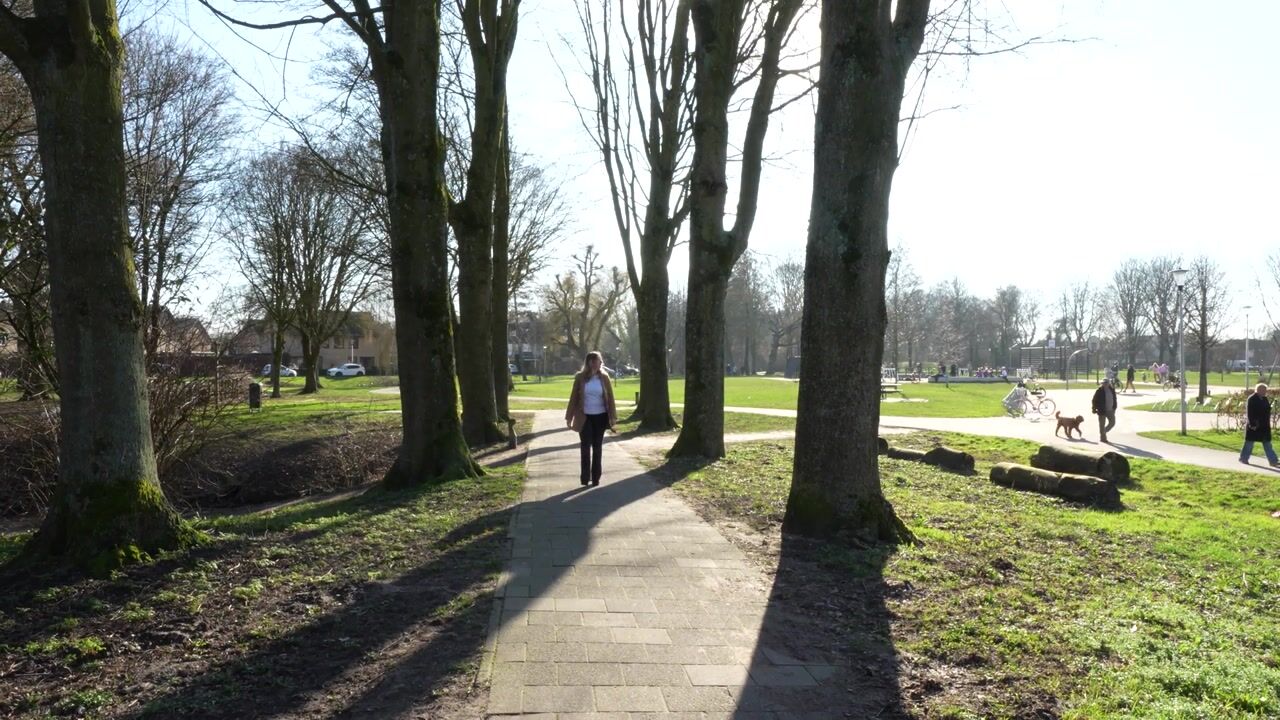 Video van De Looch 56