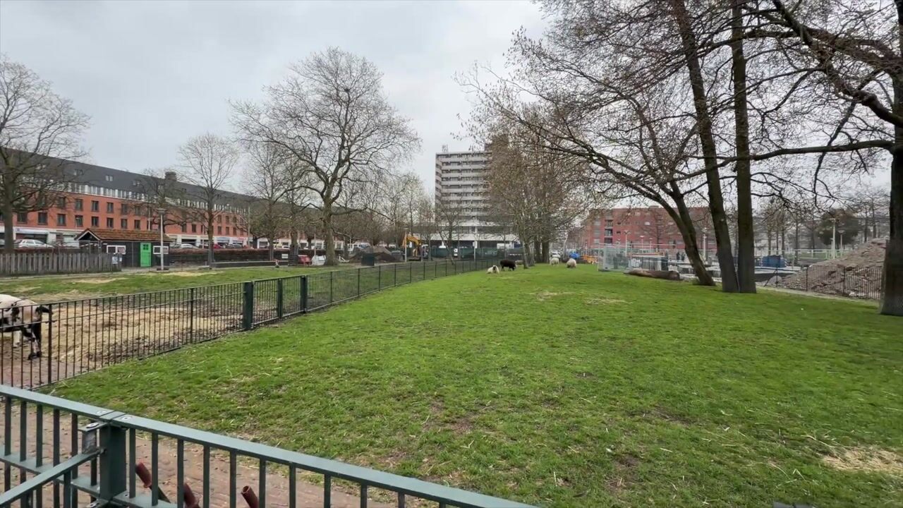 Video of Herman Costerstraat 332