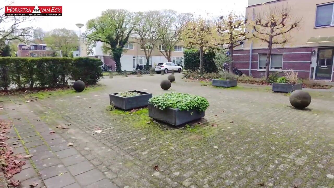 Bekijk video van Dwergvinvisstraat 45