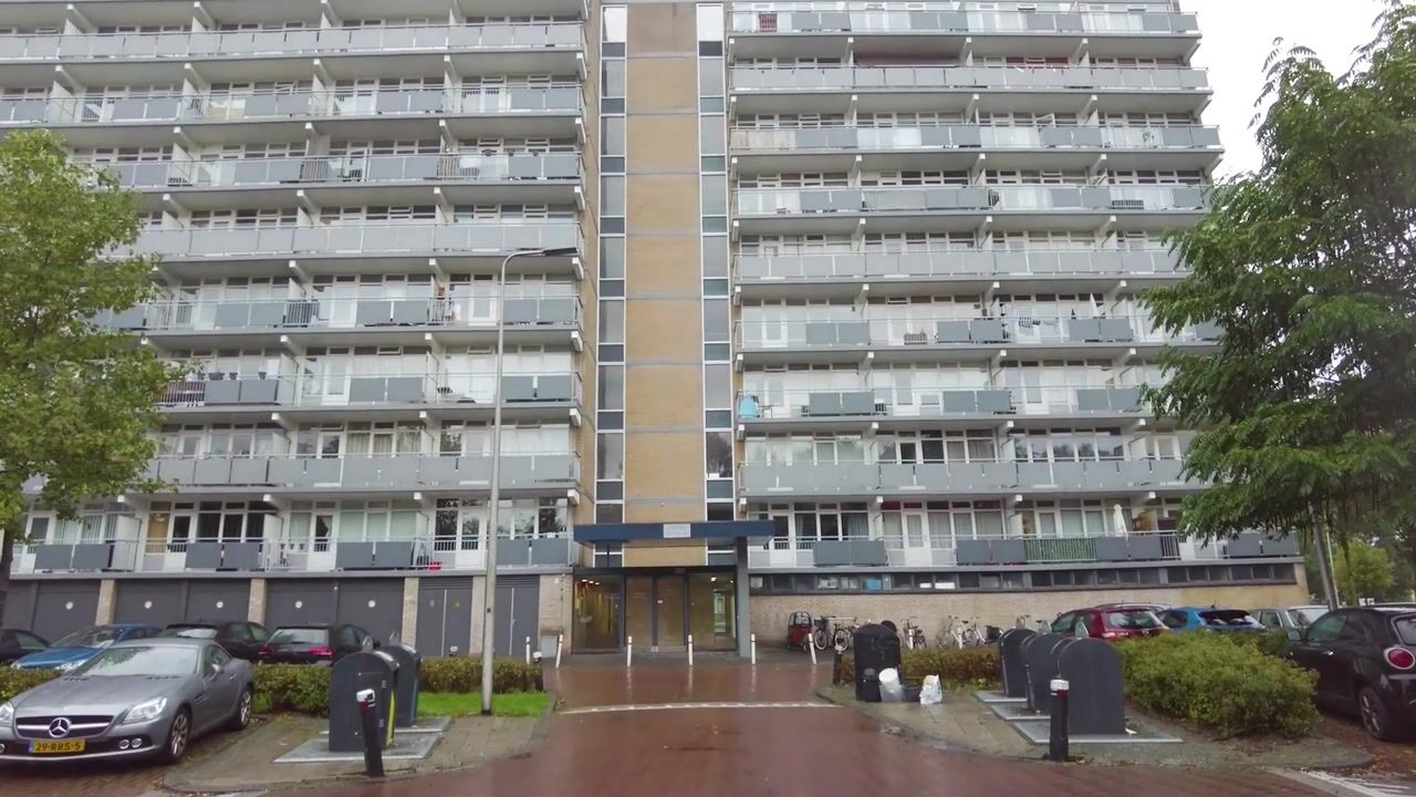 Video of Lupinesingel 350
