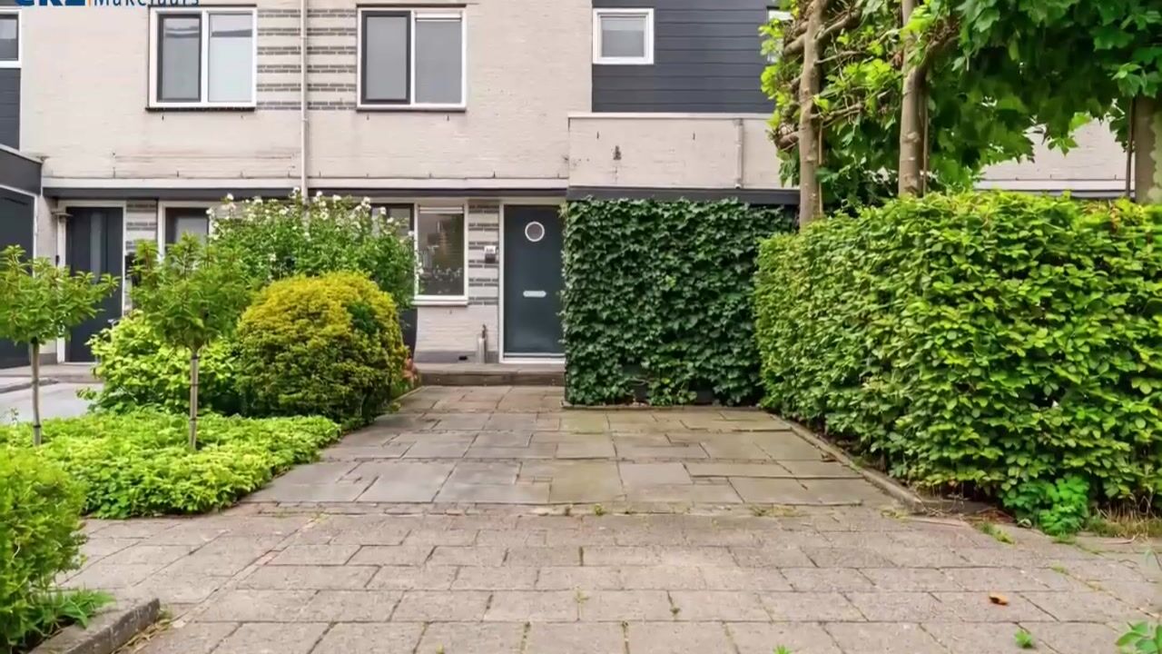 Video van Grauwe Gans 50