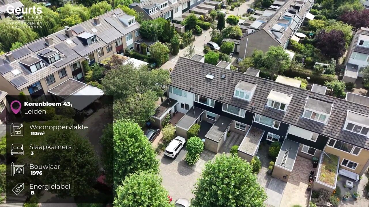 Video of Korenbloem 43