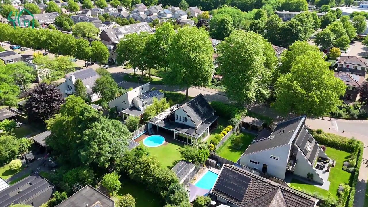 Video van Citroenvlinder 3