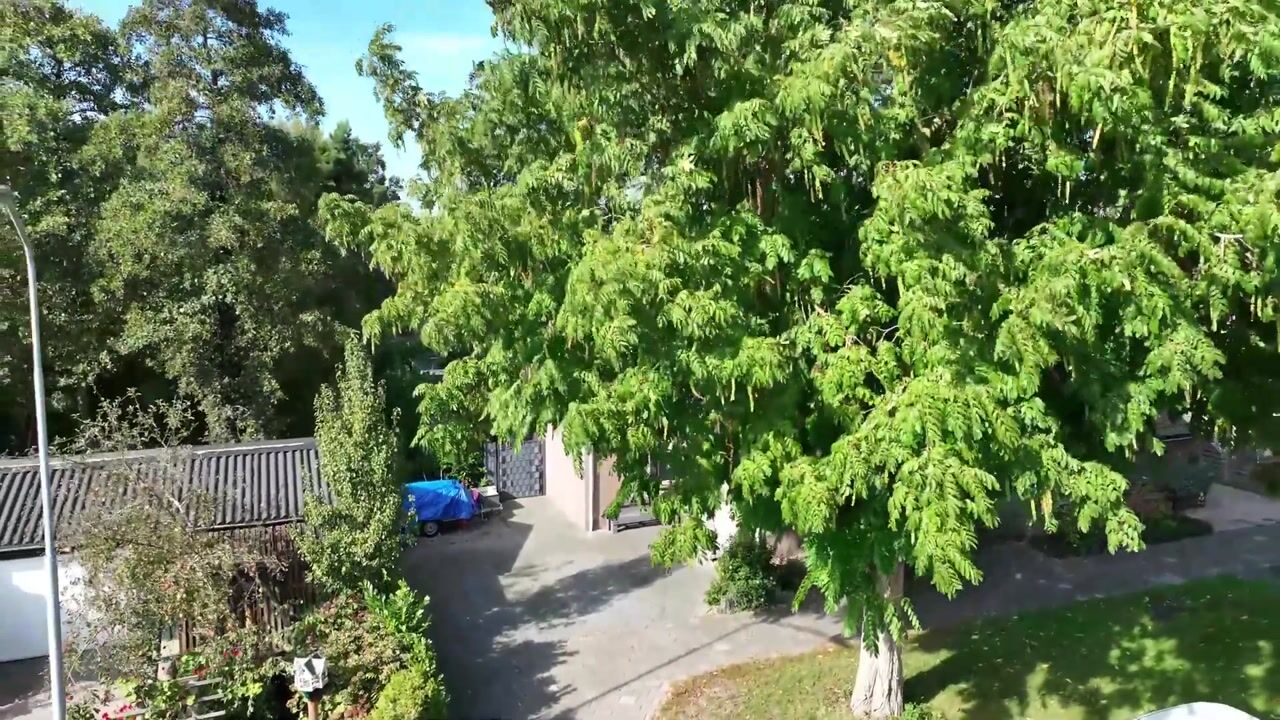 Video van Dennenweg 4