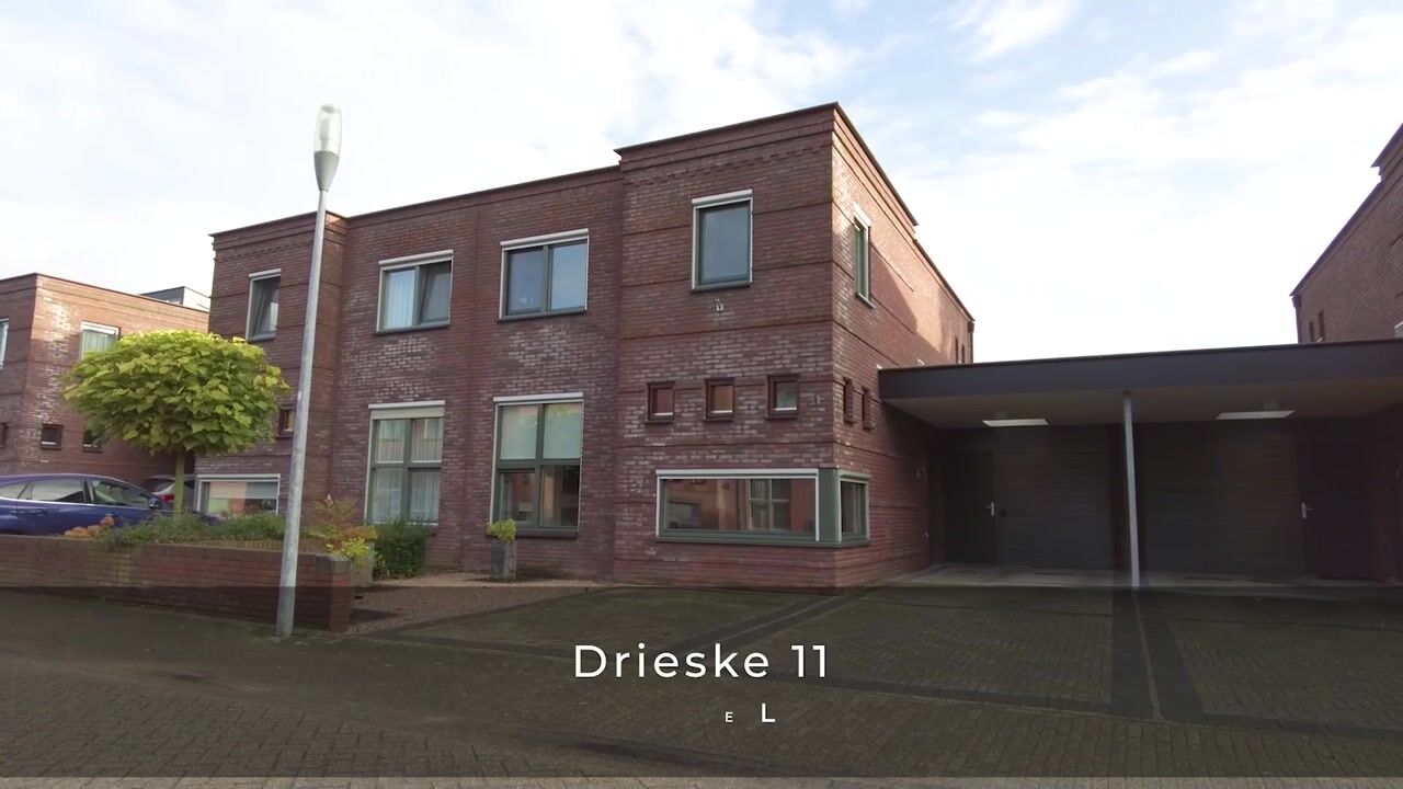 Bekijk video van Drieske 11