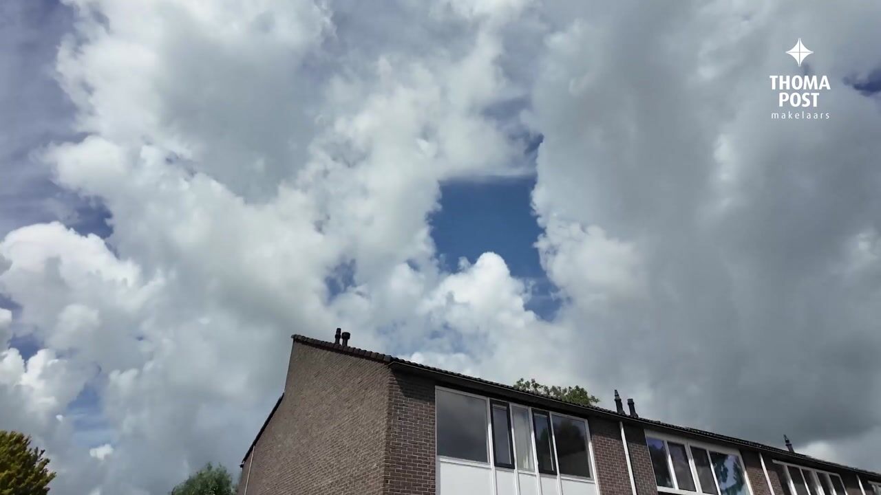 Video van Het Zwanevlot 84