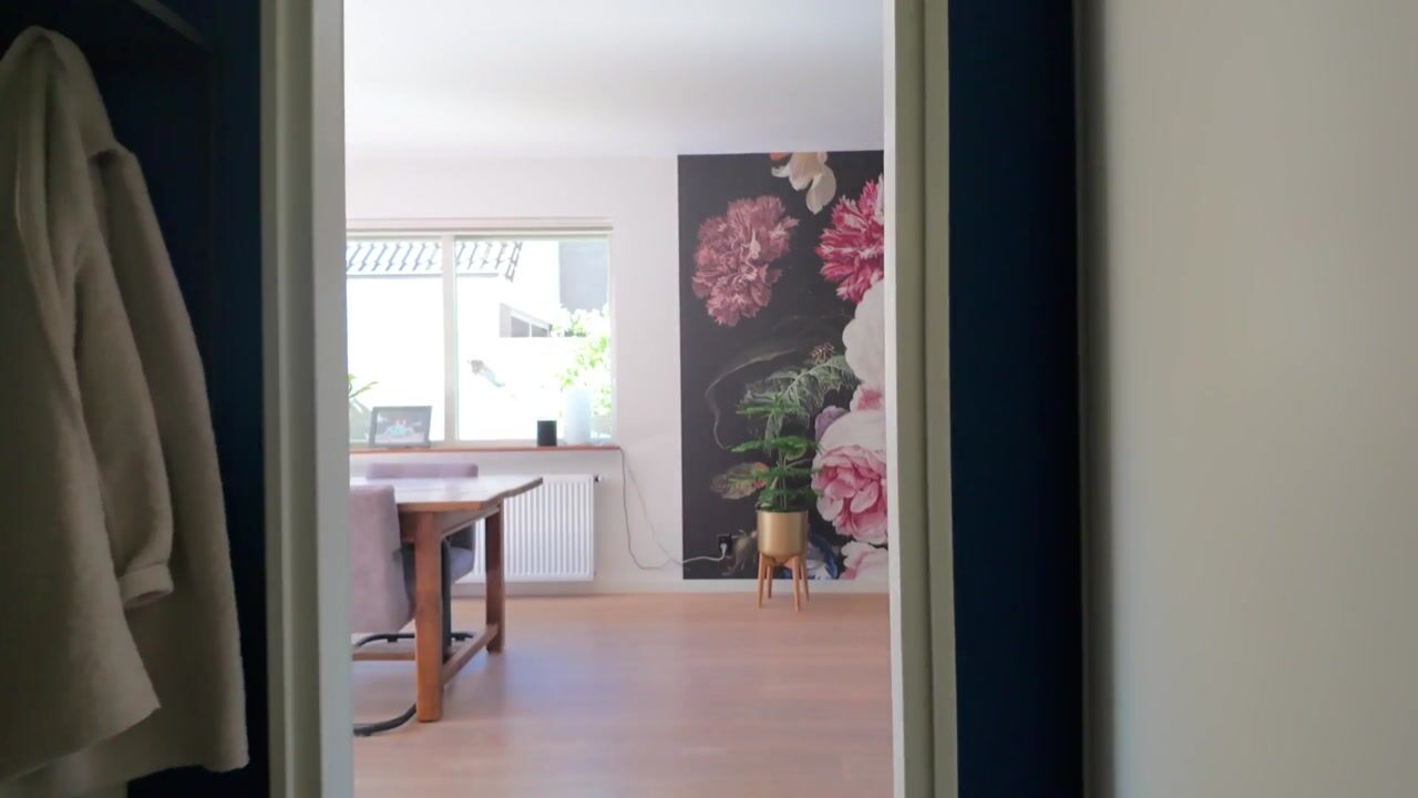 Video van Homerusstraat 42