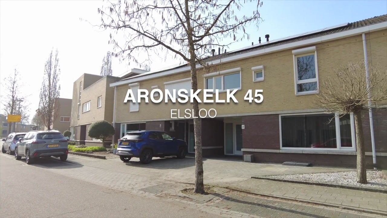 Video of Aronskelk 45