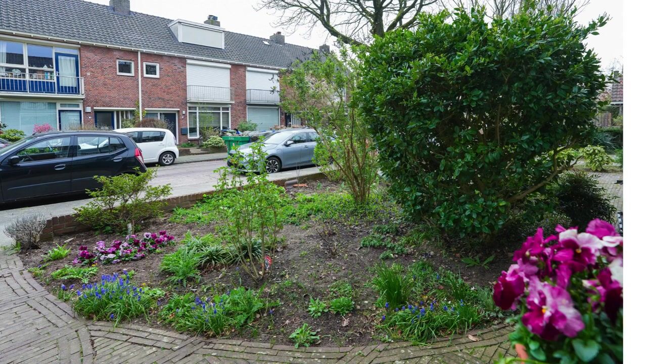 Video van Antiloopstraat 100