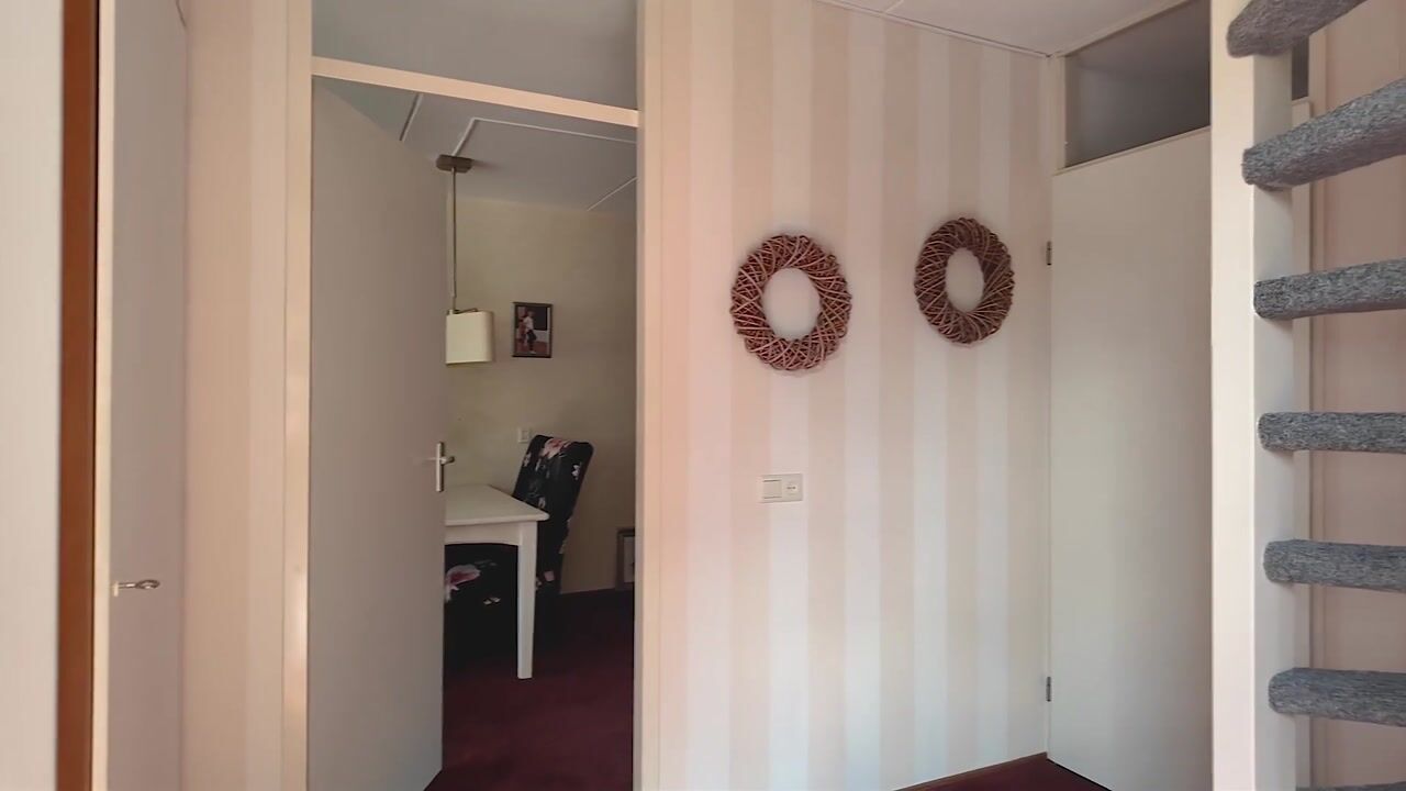 Video van Mispellaan 19