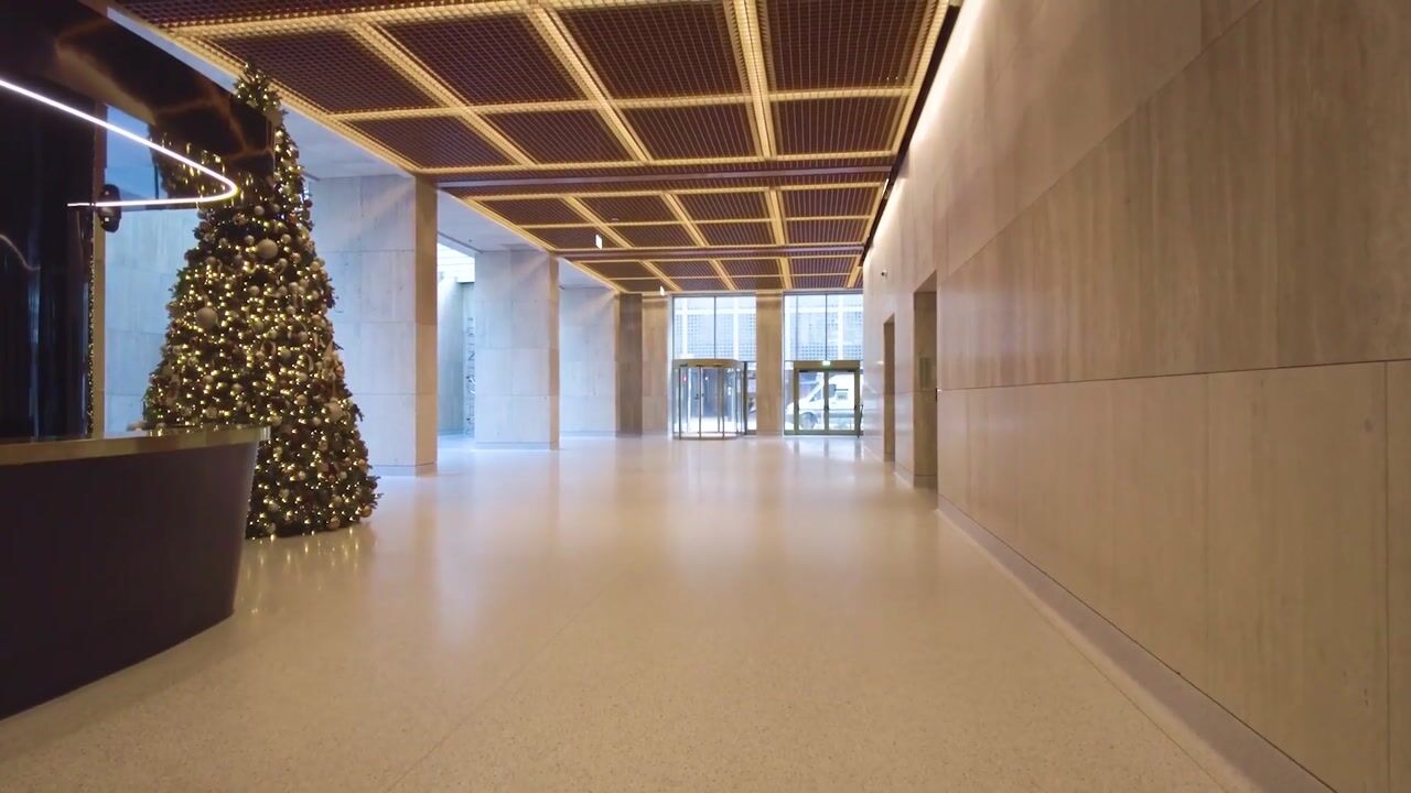 Video van Houtlaan 319