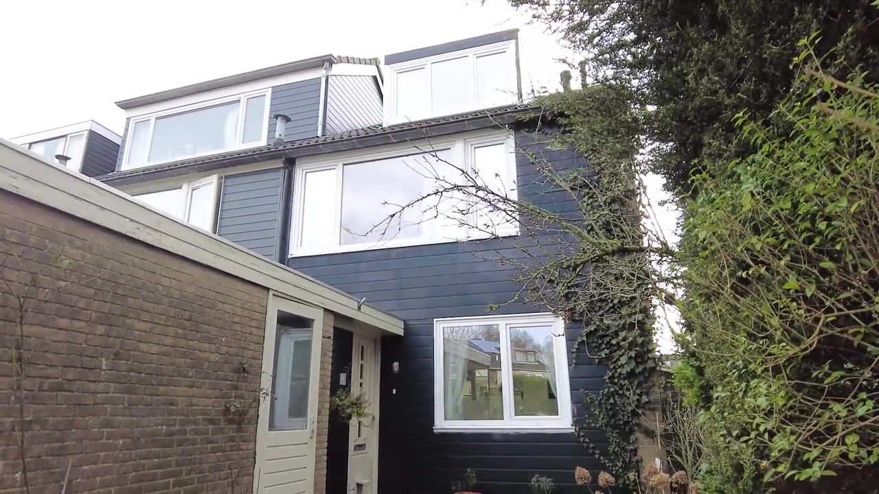 Video van Korenbloem 13