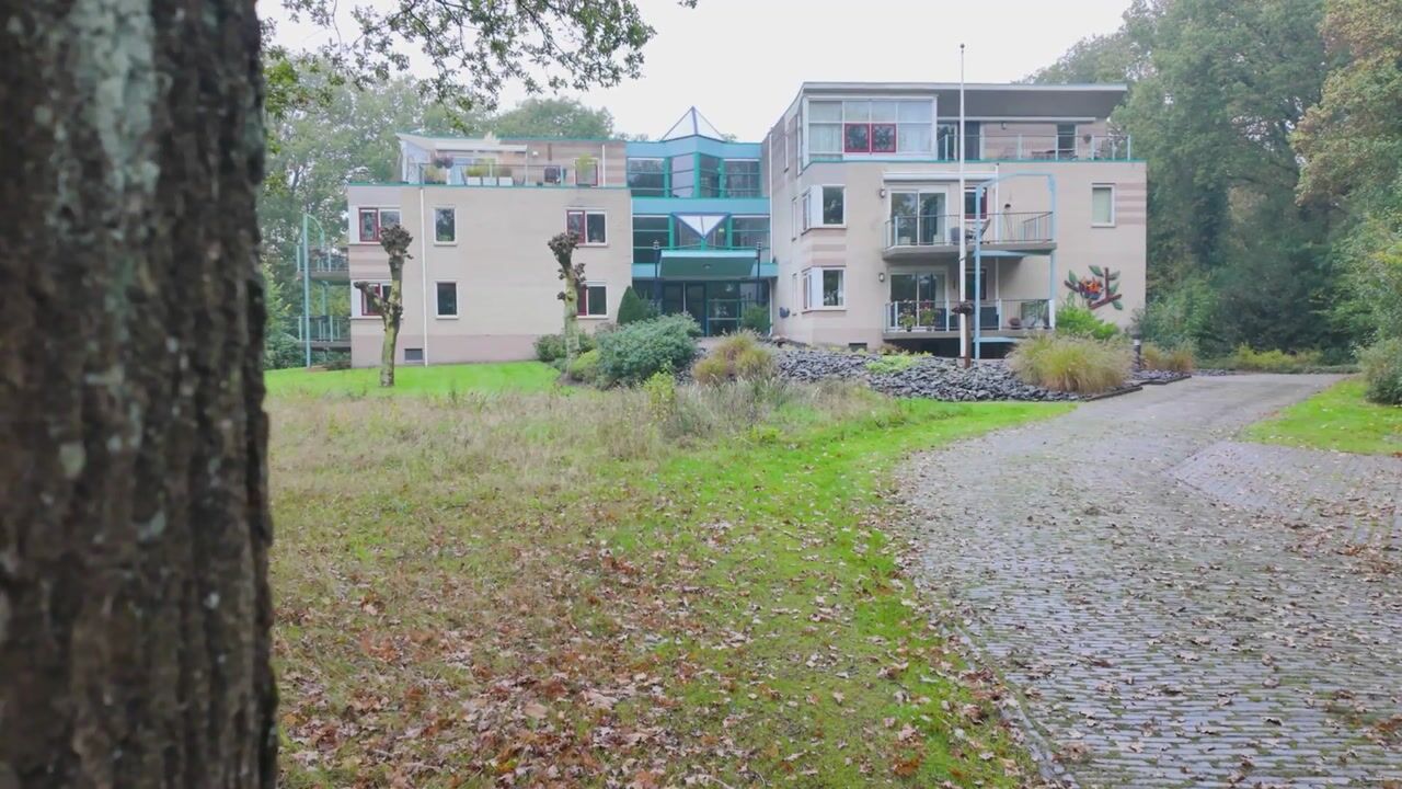 Video of De Fledders 40