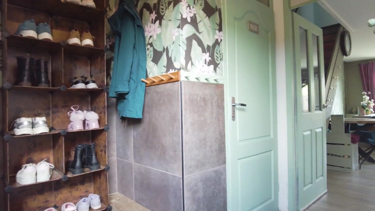 Video of Schijfmos 62