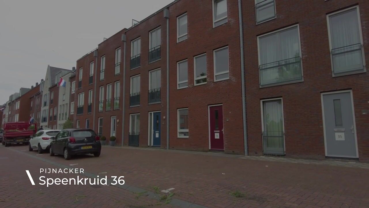 Video van Speenkruid 36