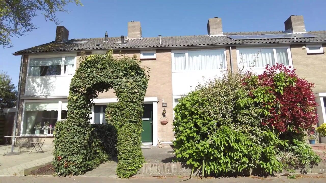 Video of Lange Heul 219