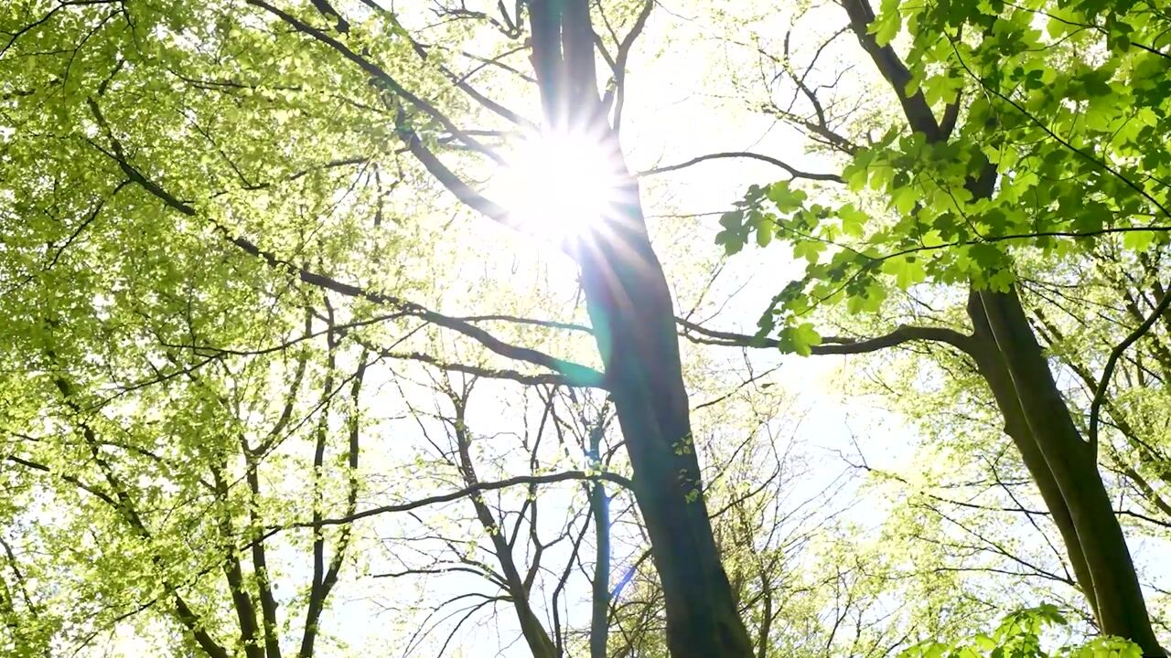 Video van Oude Karselaan 24