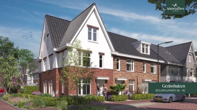 Bekijk video van Waterjuffers fase 2