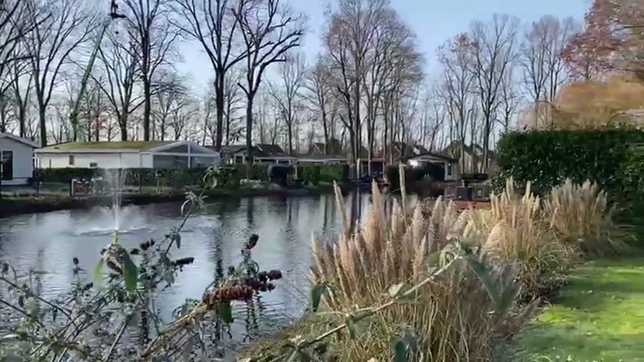 Video van Hommelweg 2-489