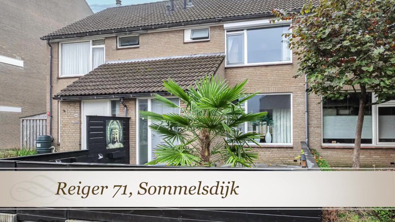 Video of Reiger 71