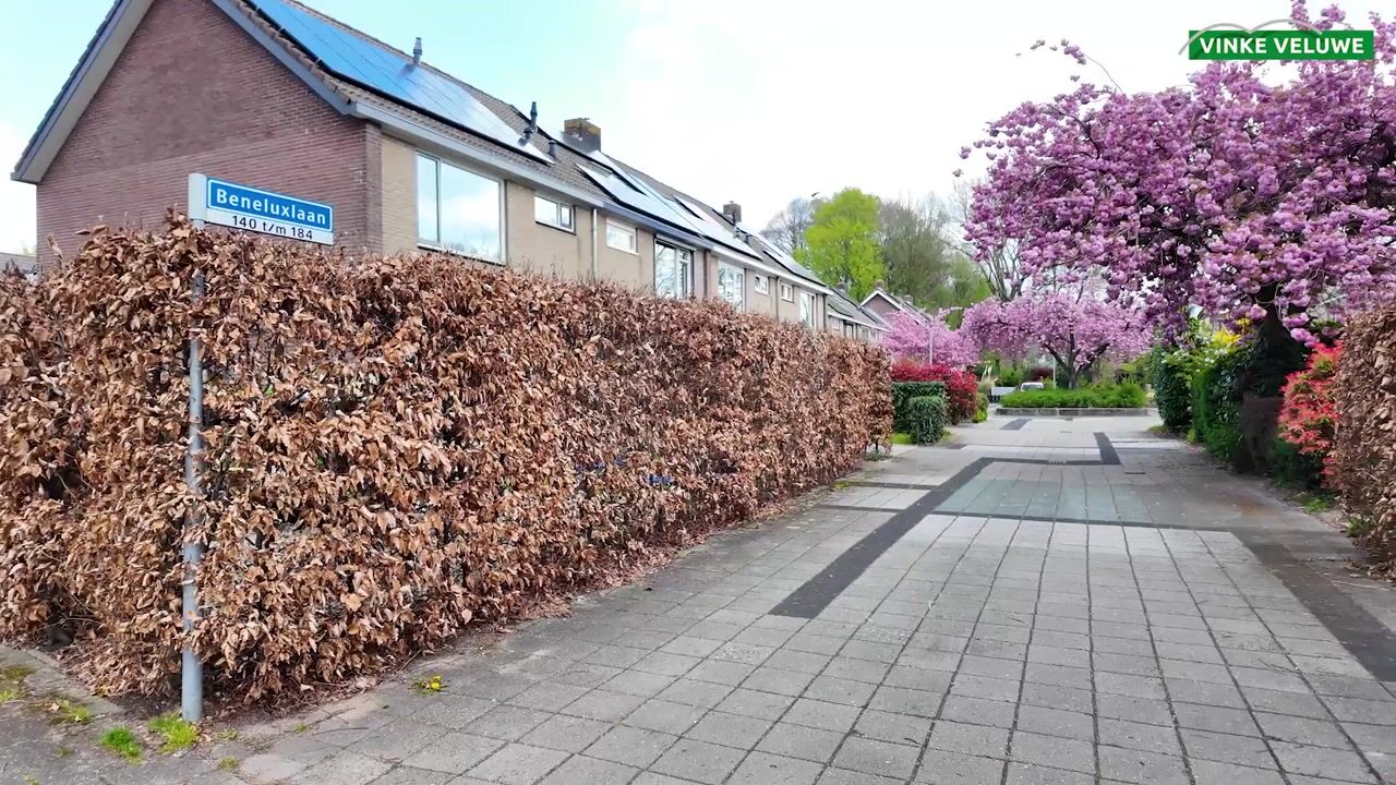 Video van Beneluxlaan 184