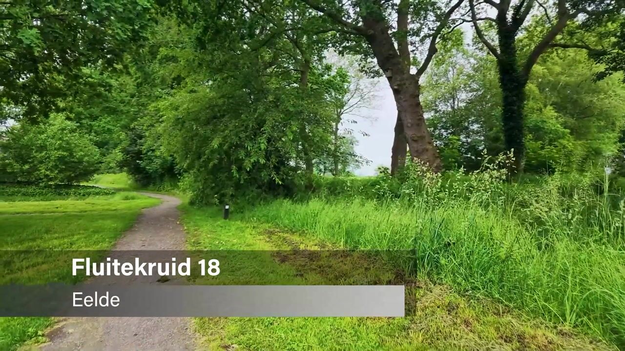Video van Fluitekruid 18