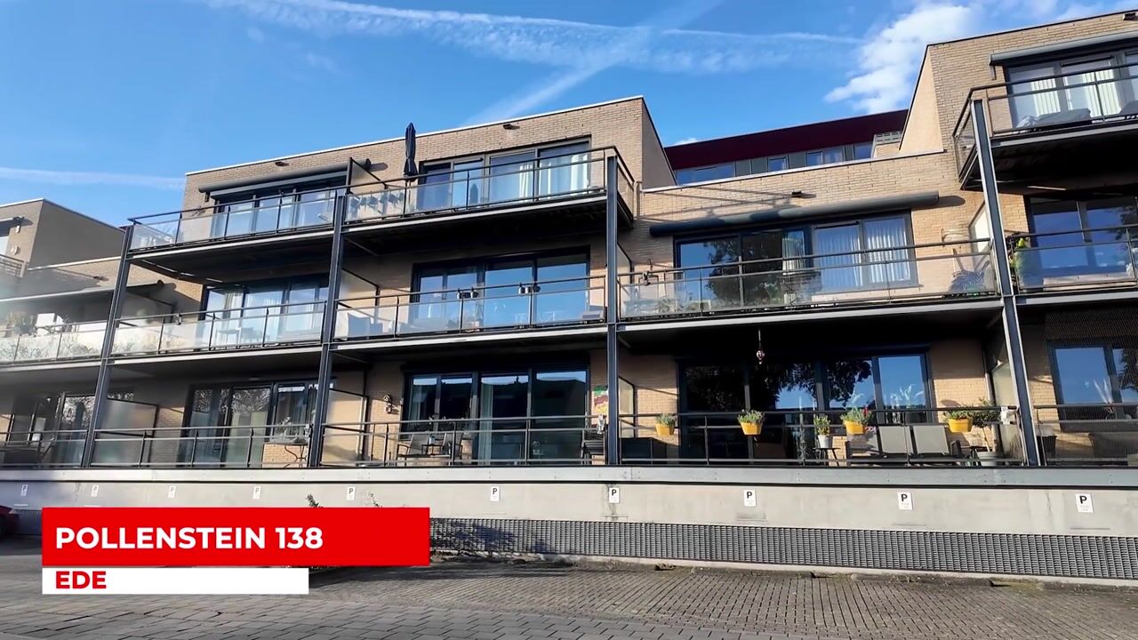 Video of Pollenstein 138