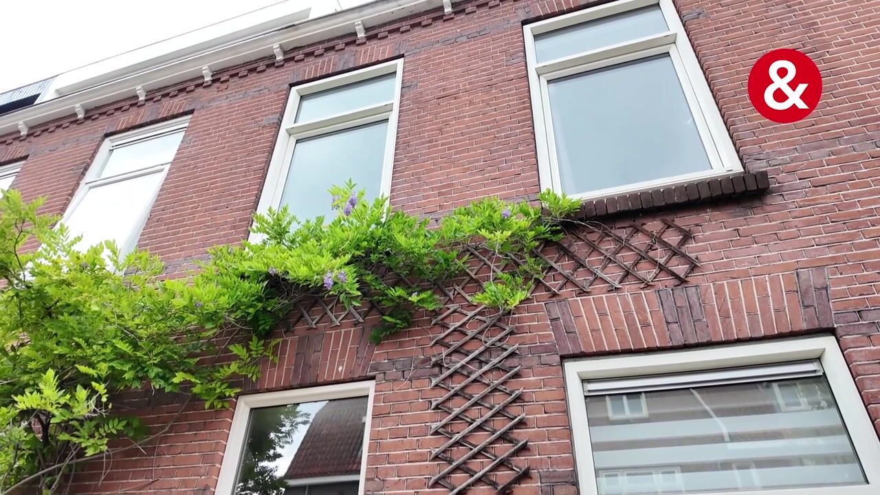 Video van Surinamestraat 33