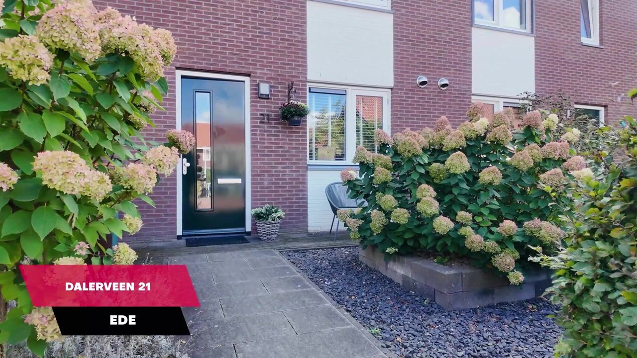 Video van Dalerveen 21
