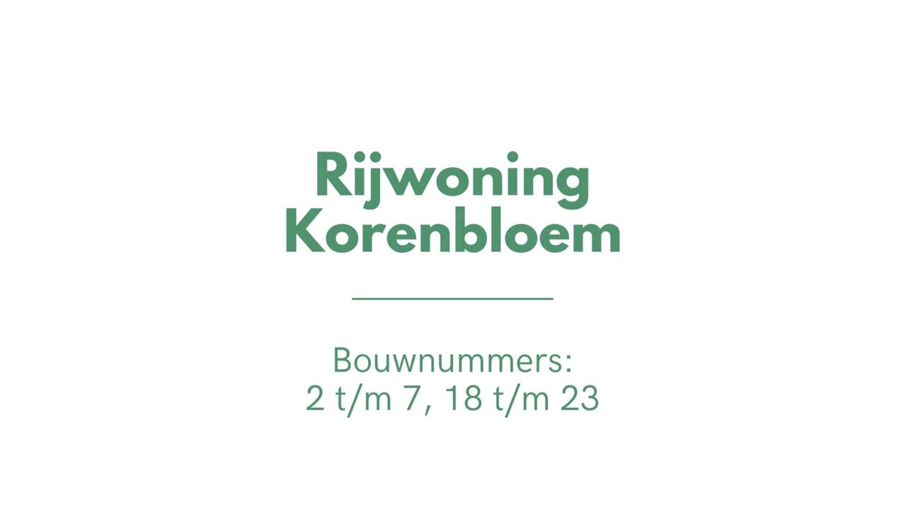 Video van Korenbloem (Bouwnr. 19)