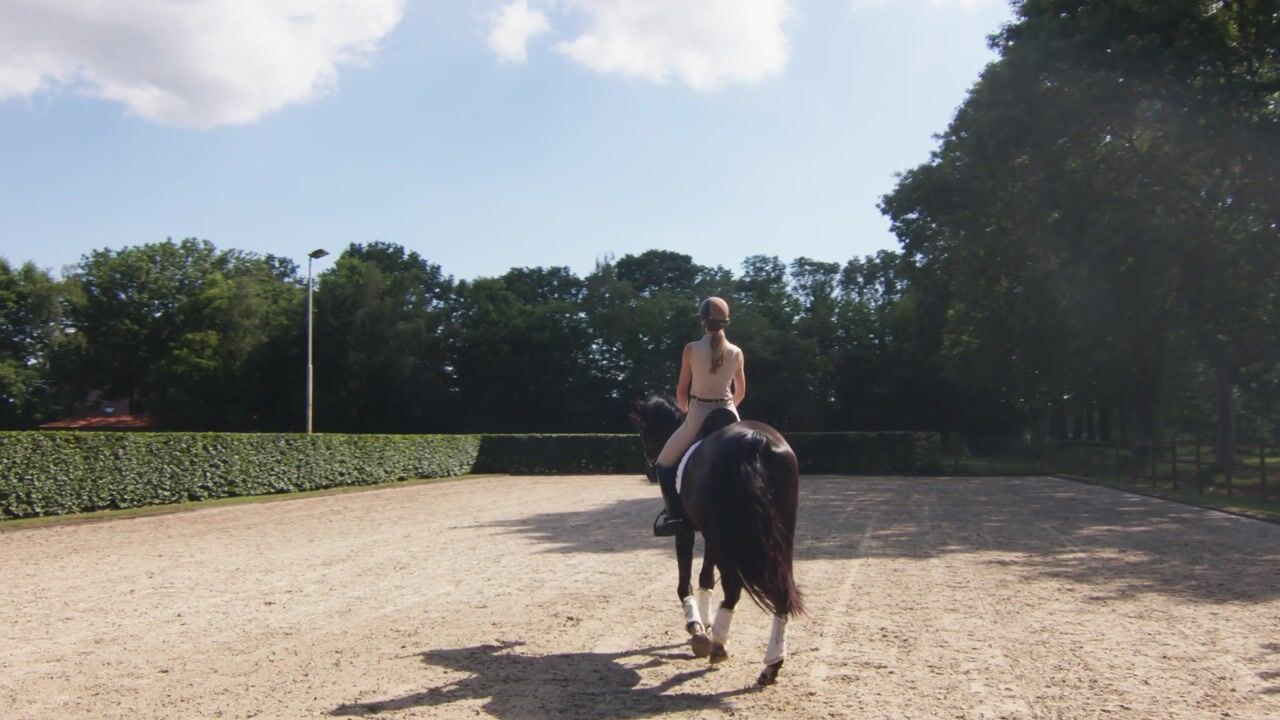 Video van Zoeksestraat 19