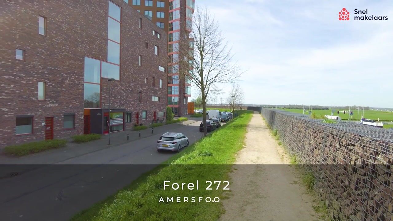 Video of Forel 272