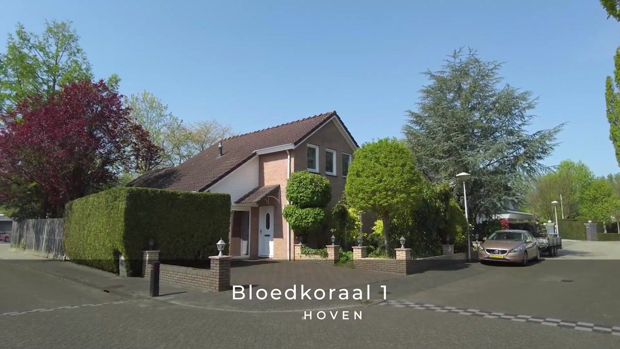 Video van Bloedkoraal 1