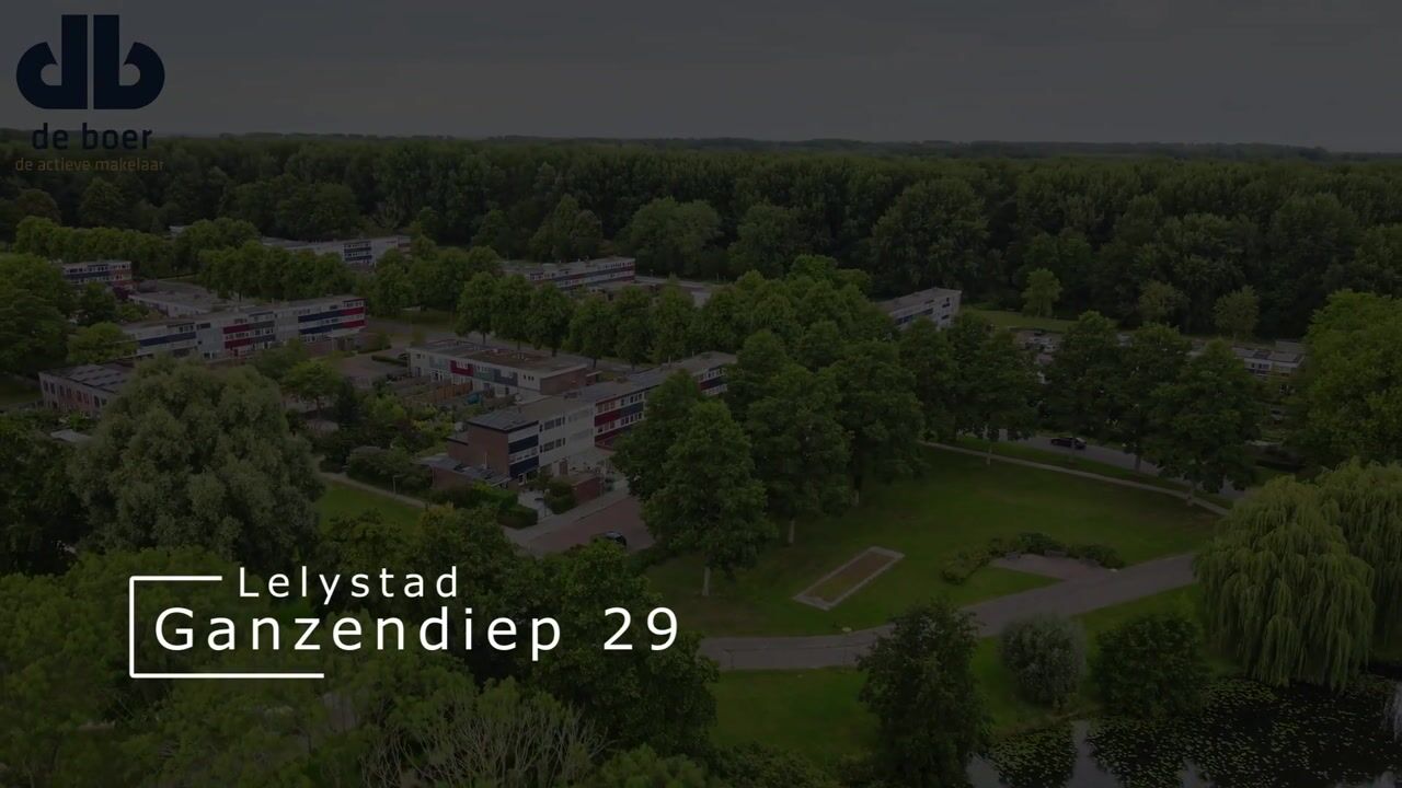 Video van Ganzendiep 29
