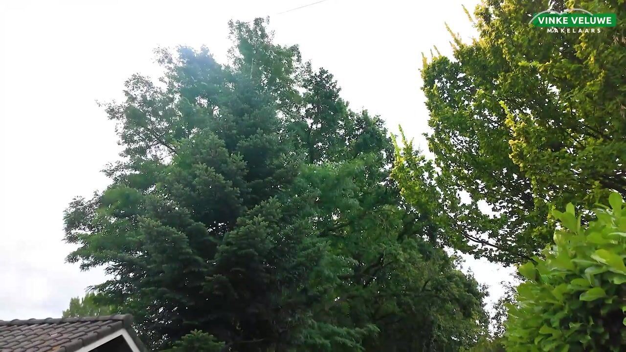 Video of Gentenerf 10-49