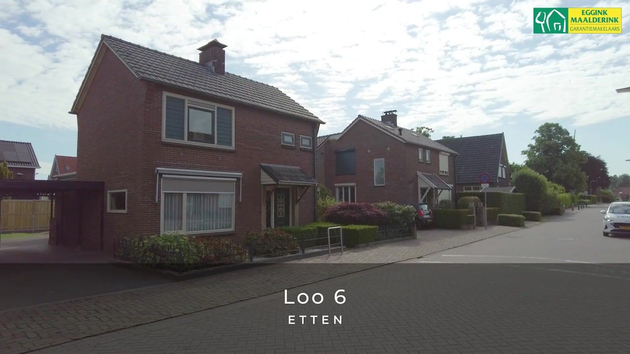 Video van Loo 6