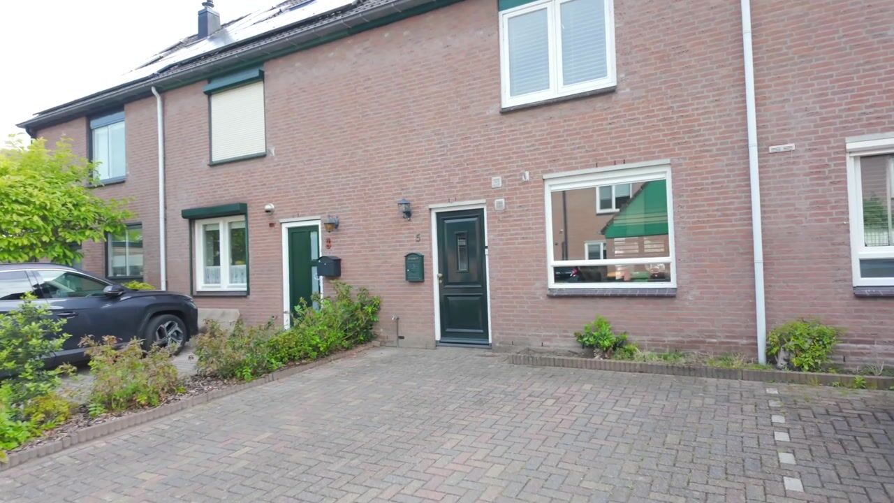 Video van Goudwesp 5