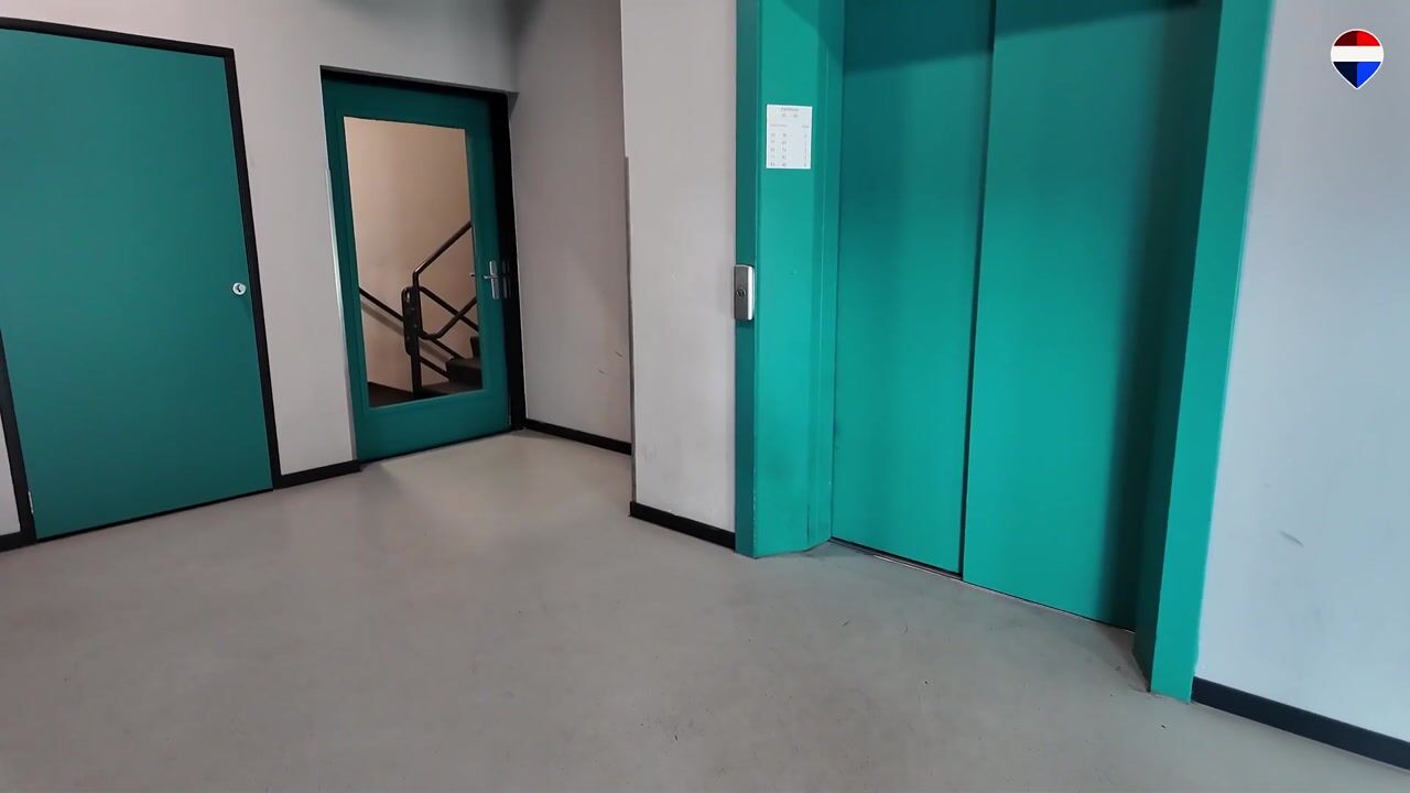 Video van Zandsteen 100