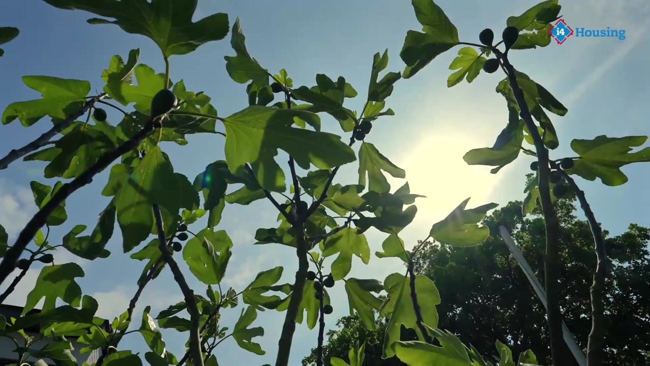 Video of Bloemcamplaan 59