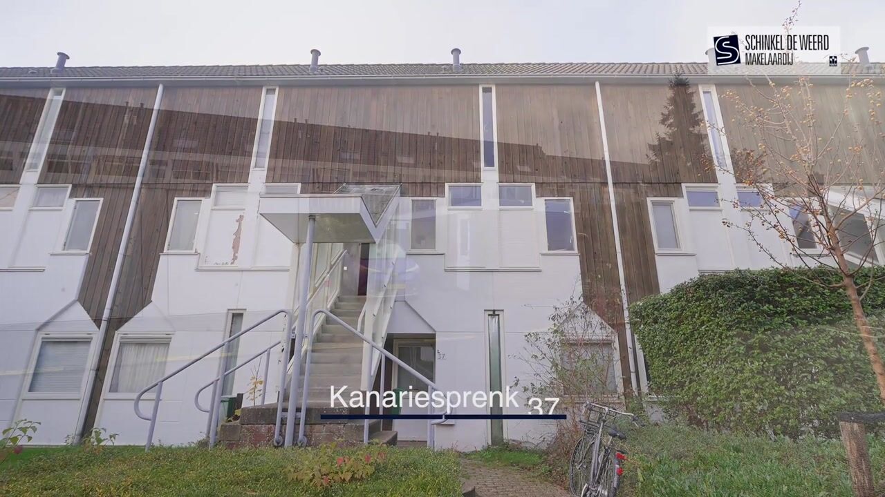 Video van Kanariesprenk 37