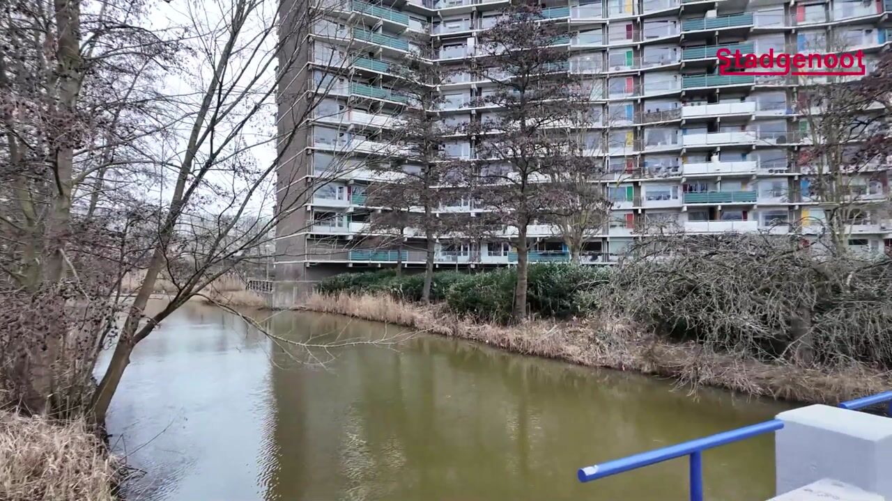 Video van Loenermark 17